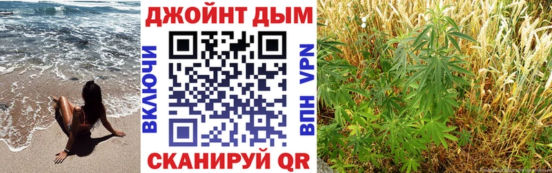 Купить закладки  Мичуринск  Шишки марихуана семена 